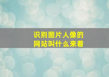 识别图片人像的网站叫什么来着