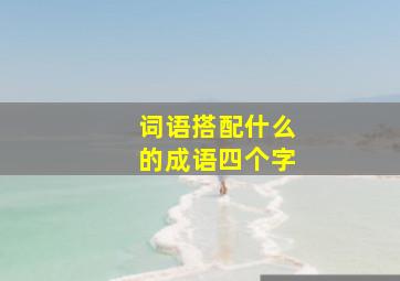 词语搭配什么的成语四个字