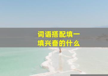 词语搭配填一填兴奋的什么