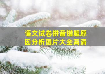 语文试卷拼音错题原因分析图片大全高清