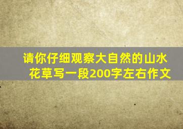 请你仔细观察大自然的山水花草写一段200字左右作文