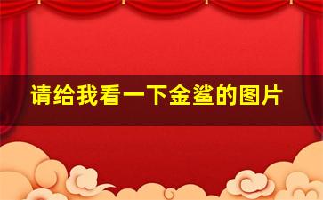 请给我看一下金鲨的图片