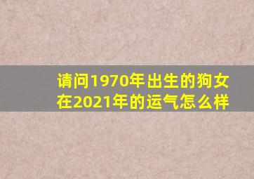 请问1970年出生的狗女在2021年的运气怎么样