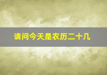 请问今天是农历二十几