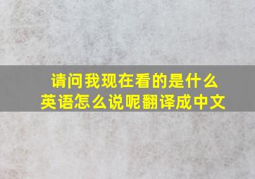 请问我现在看的是什么英语怎么说呢翻译成中文