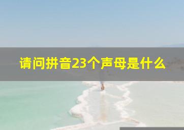 请问拼音23个声母是什么