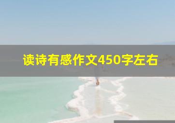 读诗有感作文450字左右