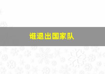 谁退出国家队