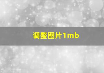 调整图片1mb