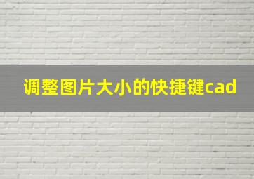 调整图片大小的快捷键cad