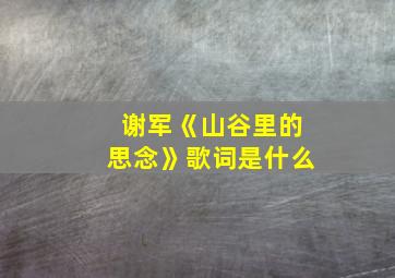 谢军《山谷里的思念》歌词是什么