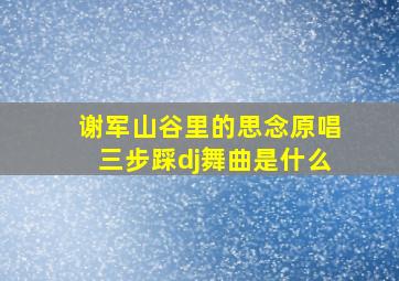 谢军山谷里的思念原唱三步踩dj舞曲是什么