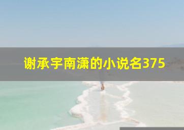 谢承宇南潇的小说名375