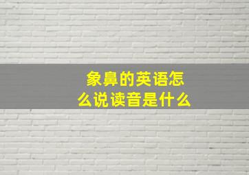 象鼻的英语怎么说读音是什么