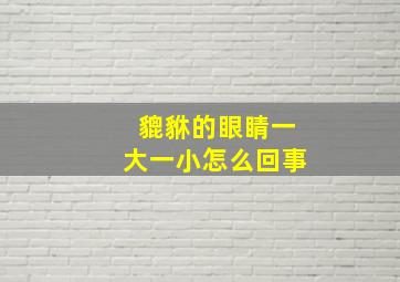 貔貅的眼睛一大一小怎么回事