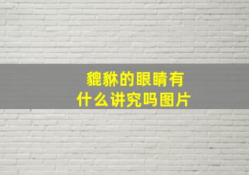 貔貅的眼睛有什么讲究吗图片