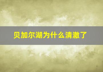 贝加尔湖为什么清澈了