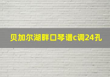 贝加尔湖畔口琴谱c调24孔