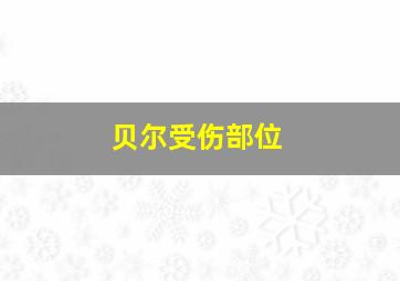 贝尔受伤部位