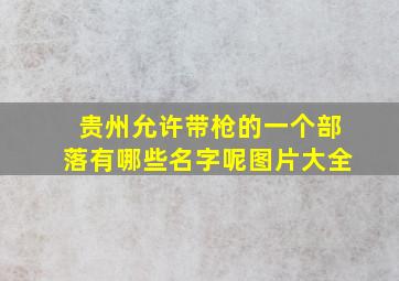 贵州允许带枪的一个部落有哪些名字呢图片大全