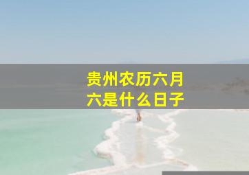 贵州农历六月六是什么日子