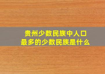 贵州少数民族中人口最多的少数民族是什么