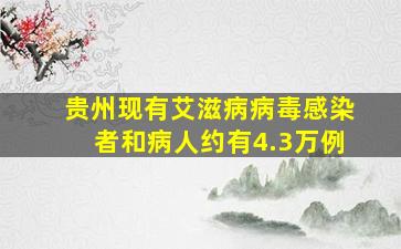 贵州现有艾滋病病毒感染者和病人约有4.3万例