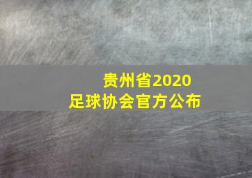 贵州省2020足球协会官方公布