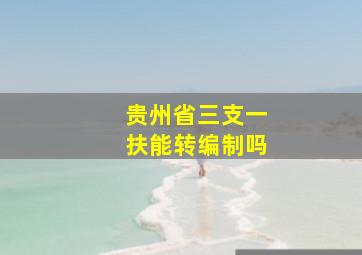 贵州省三支一扶能转编制吗