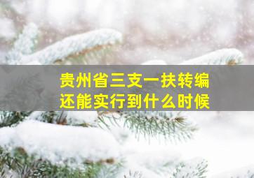 贵州省三支一扶转编还能实行到什么时候