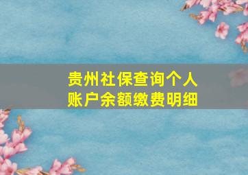 贵州社保查询个人账户余额缴费明细