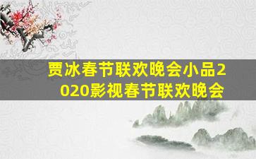 贾冰春节联欢晚会小品2020影视春节联欢晚会