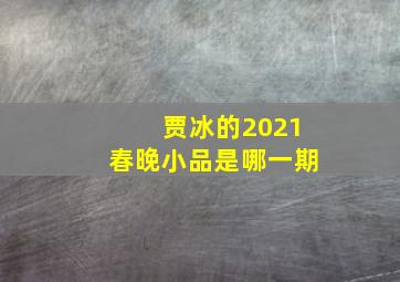 贾冰的2021春晚小品是哪一期