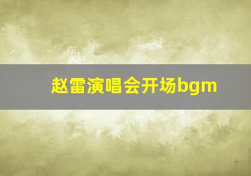 赵雷演唱会开场bgm