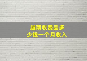 越南收费品多少钱一个月收入