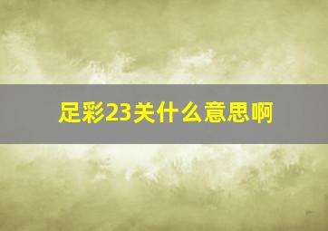 足彩23关什么意思啊