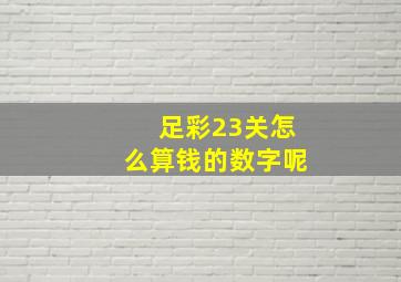 足彩23关怎么算钱的数字呢