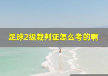 足球2级裁判证怎么考的啊