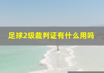 足球2级裁判证有什么用吗