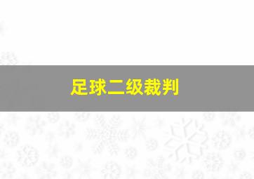 足球二级裁判