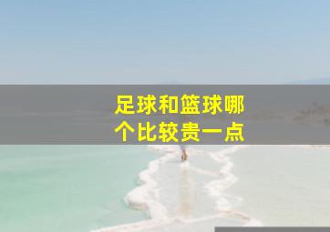 足球和篮球哪个比较贵一点