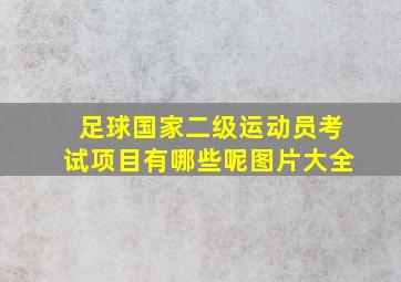 足球国家二级运动员考试项目有哪些呢图片大全