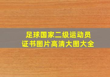 足球国家二级运动员证书图片高清大图大全