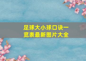 足球大小球口诀一览表最新图片大全