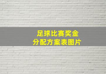 足球比赛奖金分配方案表图片