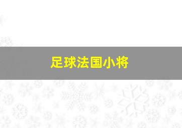 足球法国小将