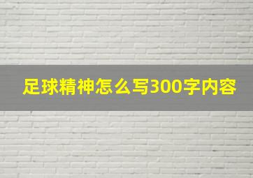 足球精神怎么写300字内容