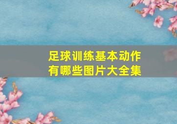 足球训练基本动作有哪些图片大全集