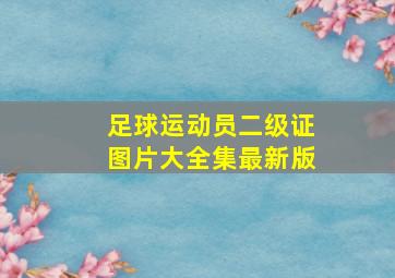 足球运动员二级证图片大全集最新版