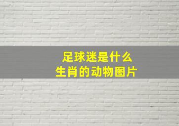 足球迷是什么生肖的动物图片